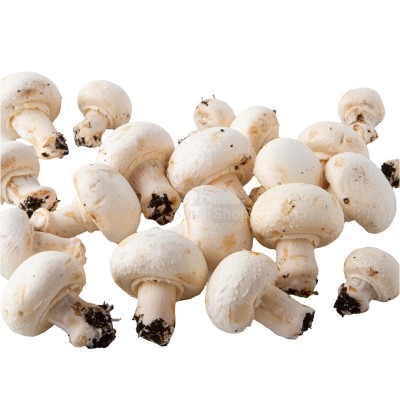 Шампиньоны свежие 500 г - купить в Сууке-Чишме